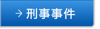 刑事事件